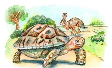 The Story of the Snail and the Turtle: A Timeless Vietnamese Tale Exploring Perseverance and Friendship